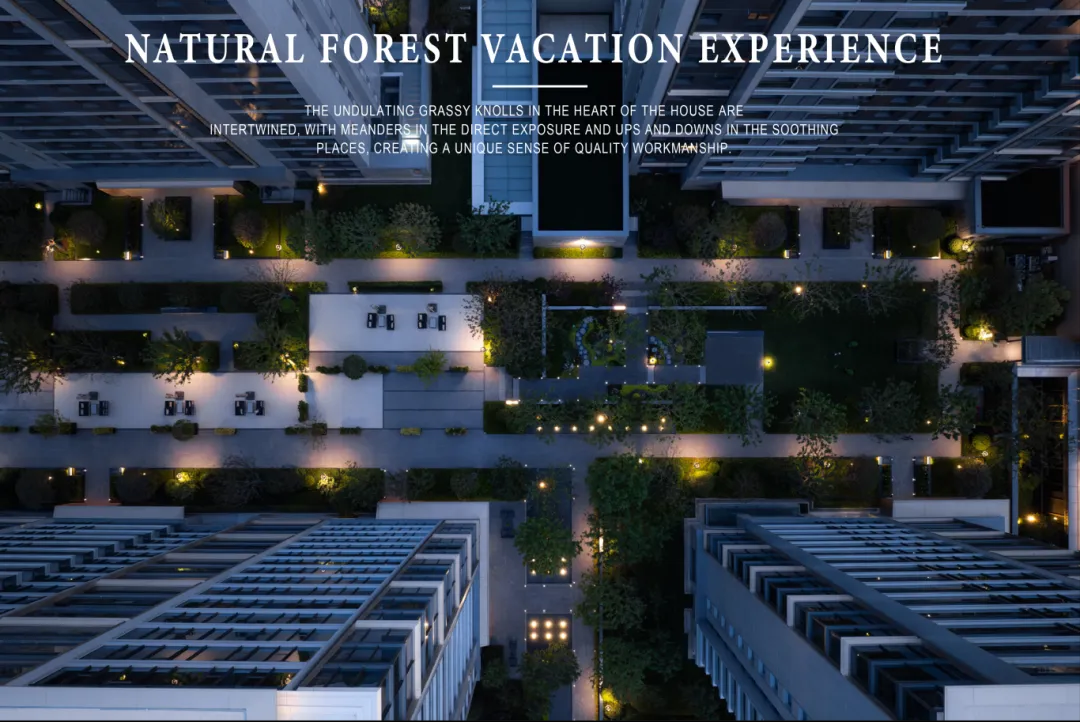 1737096965744431.jpg 1737096935080.jpg