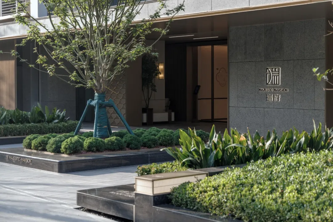 1737097170153006.jpg 1737097155942.jpg