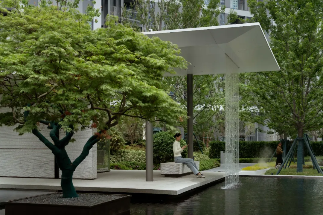 1737098350220059.jpg 1737098329651.jpg