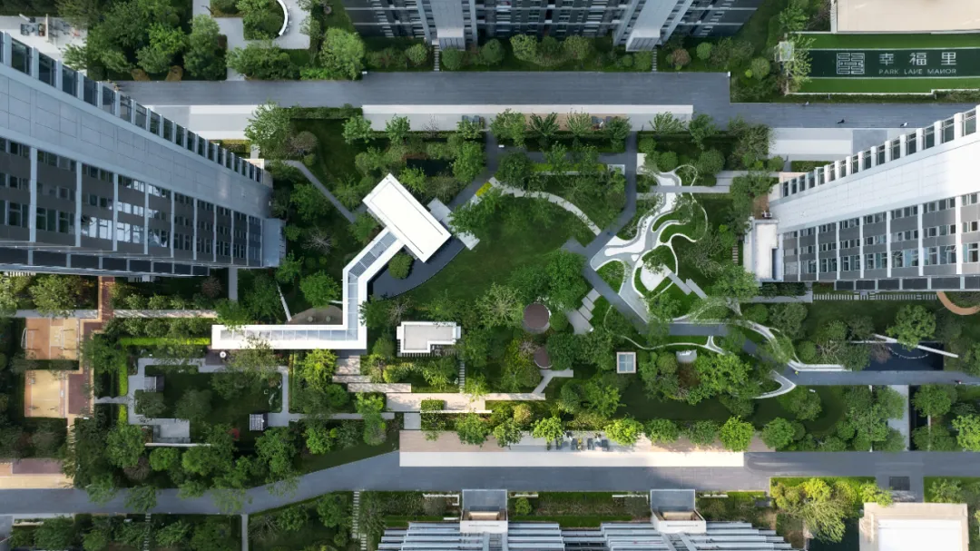 1737098490719498.jpg 1737098442639.jpg