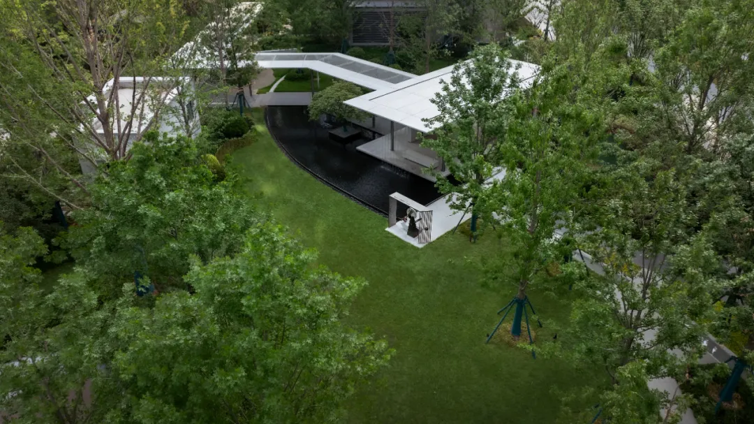 1737098500324556.jpg 1737098450160.jpg