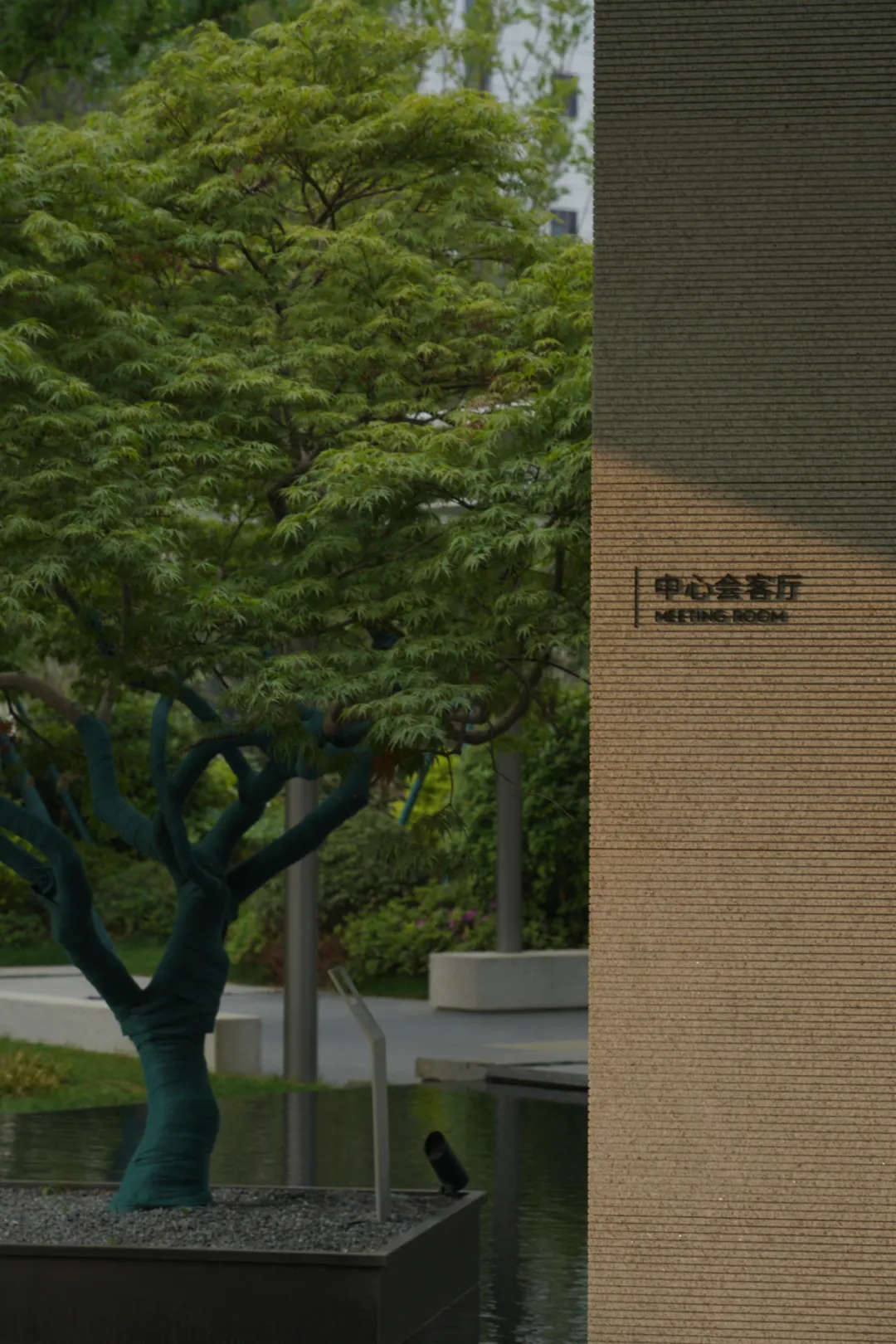 1737098544203758.jpg 1737098514334.jpg