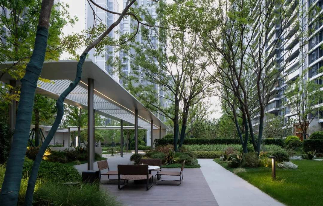 1737098598103011.jpg 1737098574370.jpg