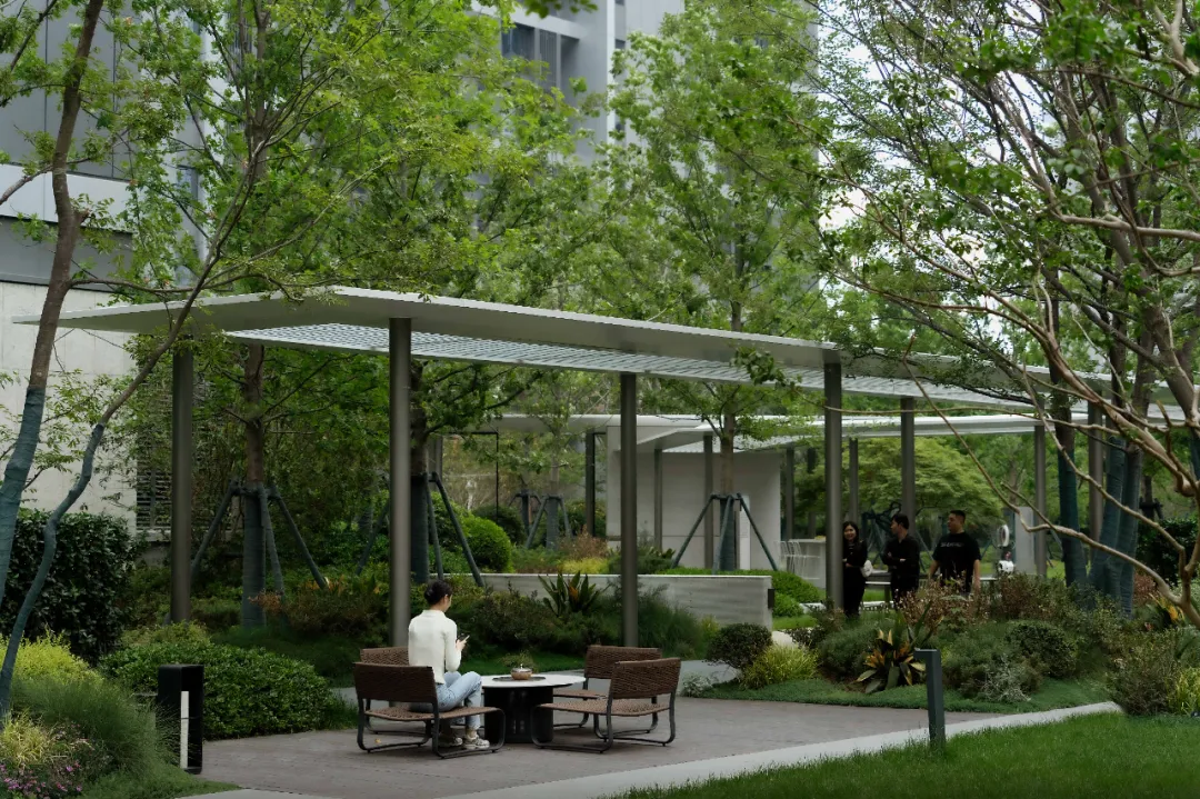 1737098603787252.jpg 1737098576576.jpg