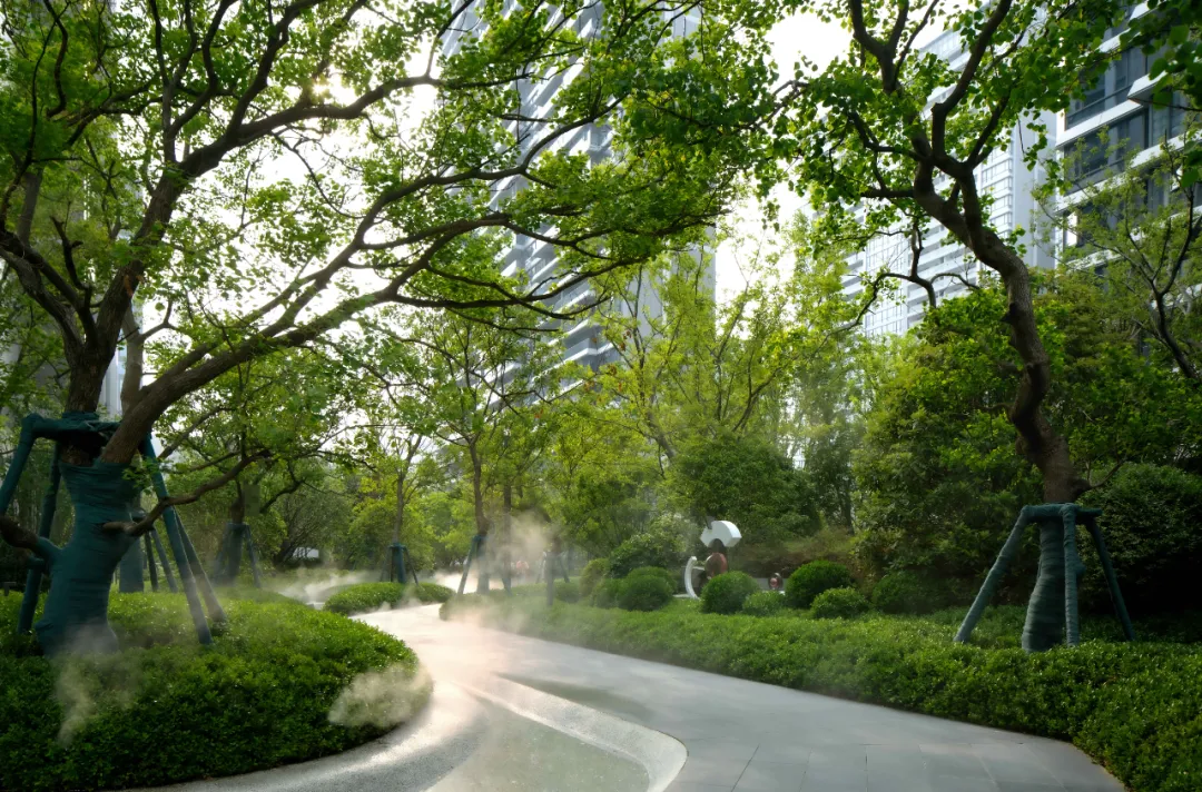 1737098612145969.jpg 1737098583612.jpg