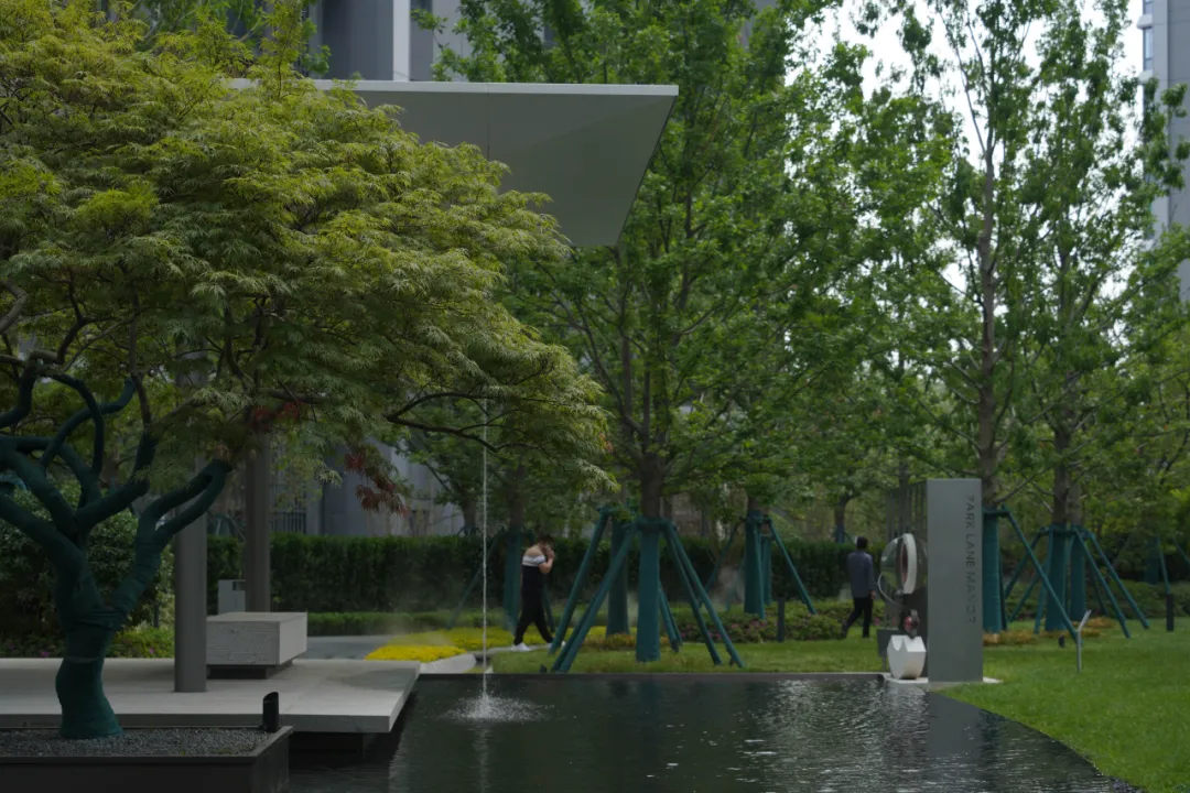 1737098694182386.jpg 1737098668759.jpg