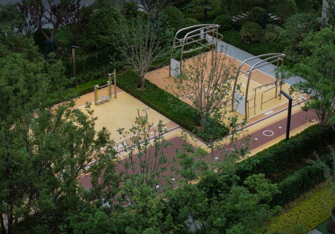 1737098753636597.jpg 1737098742449.jpg