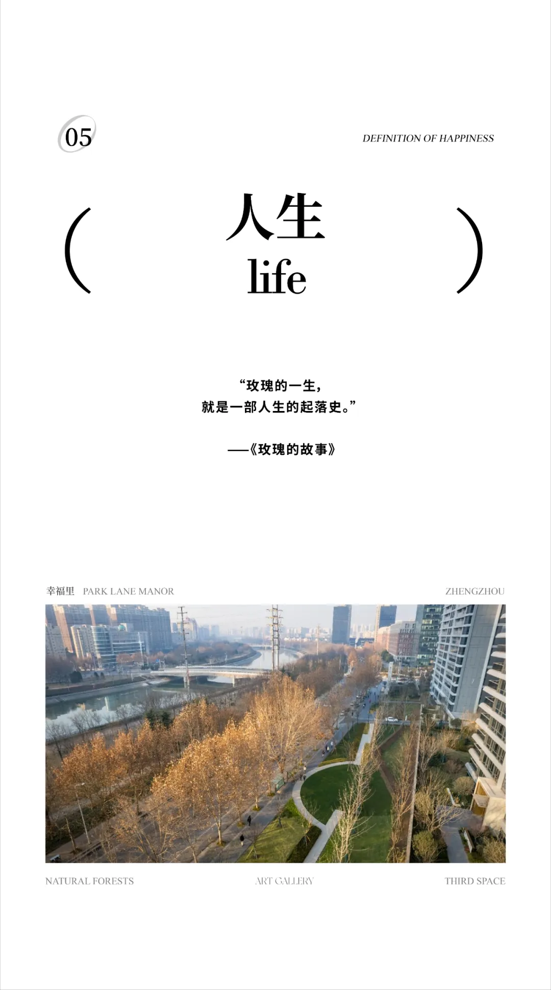 1737098789113644.jpg 1737098772053.jpg