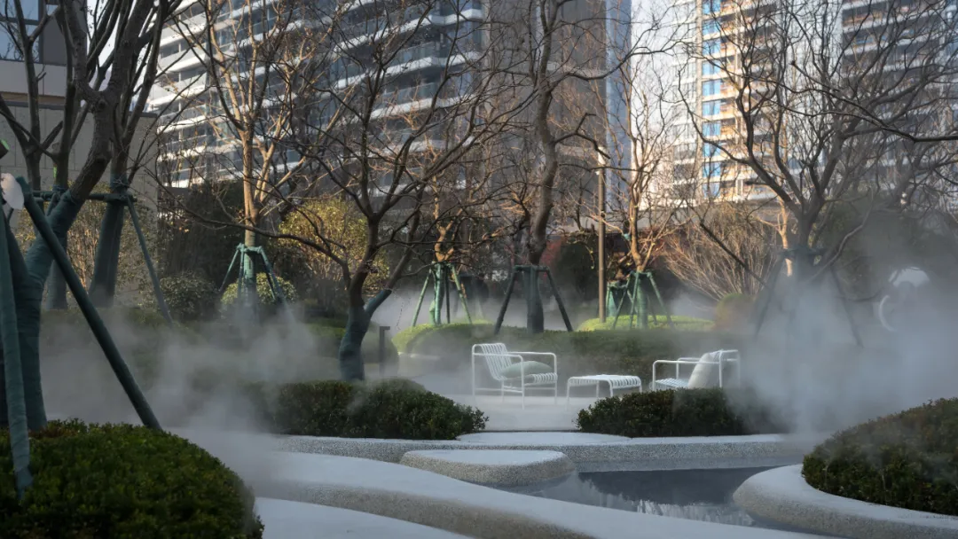 1737098811130584.jpg 1737098799300.jpg