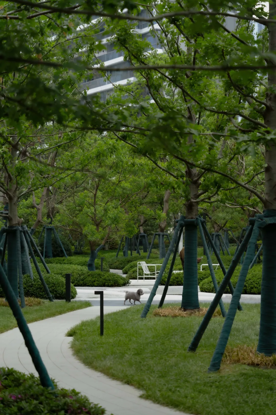 1737098947281296.jpg 1737098935775.jpg