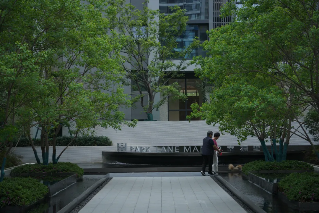 1737098951163721.jpg 1737098937932.jpg