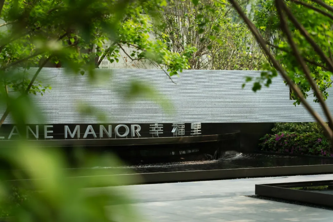 1737098957338592.jpg 1737098940404.jpg