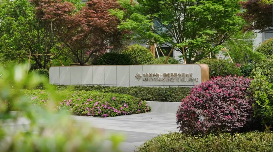 1737101479101835.jpg 1737101139130.jpg