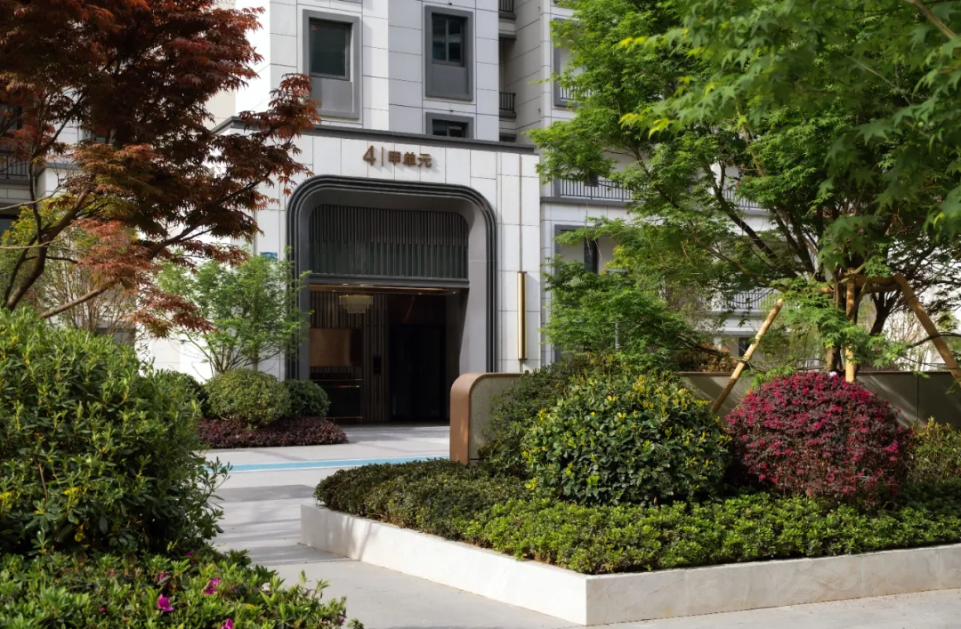 1737101658208087.jpg 1737101643026.jpg