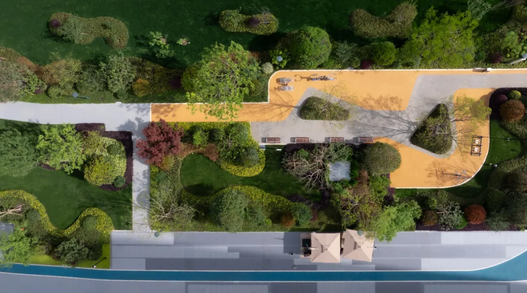 1737101736188475.jpg 1737101724525.jpg