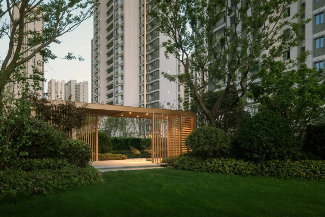 1737101745143168.jpg 1737101730707.jpg