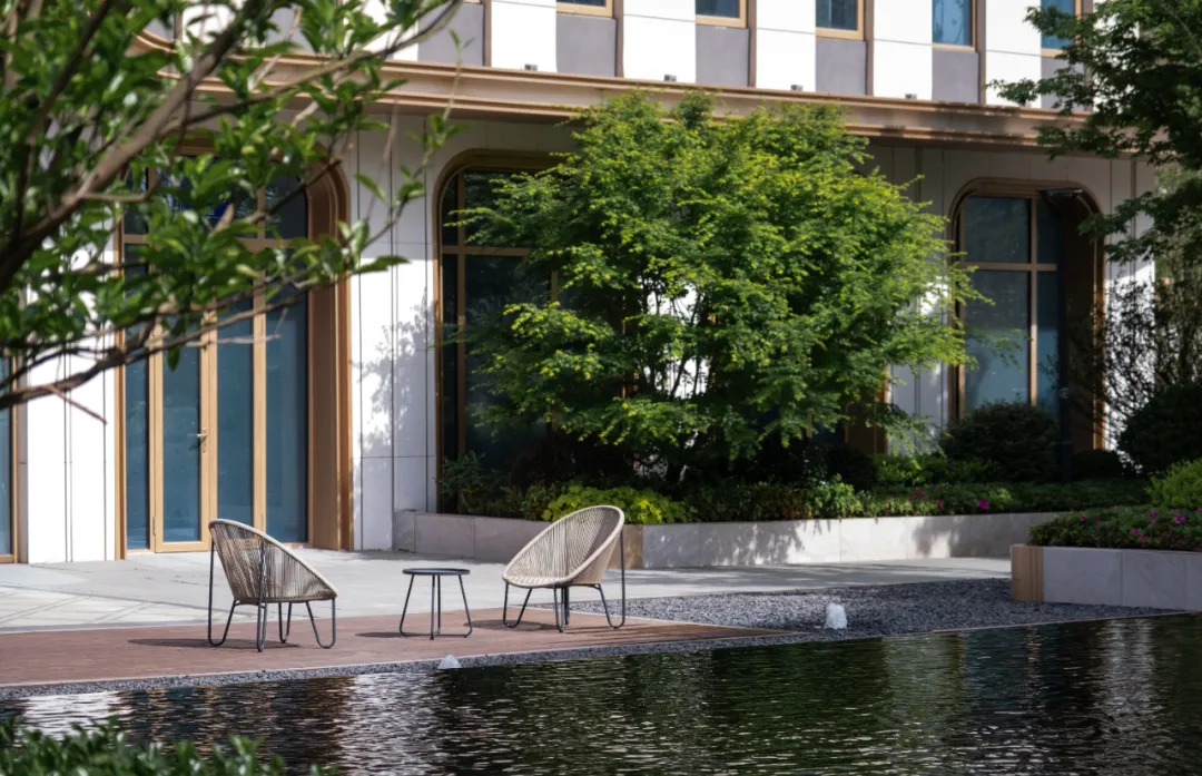 1737101764133778.jpg 1737101755571.jpg