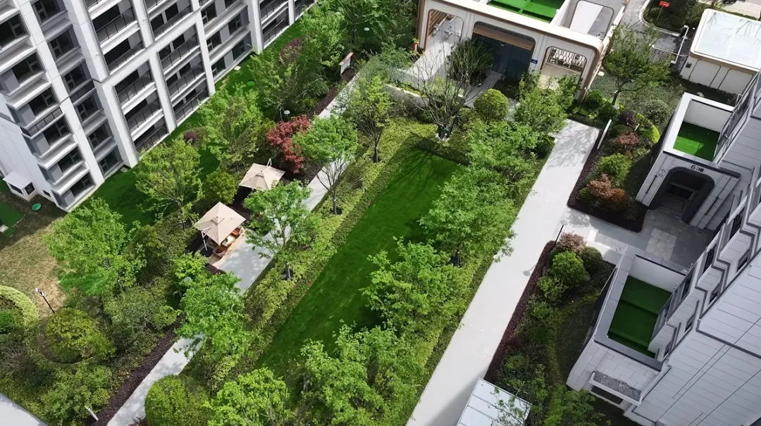 1737101854190830.jpg 1737101840788.jpg