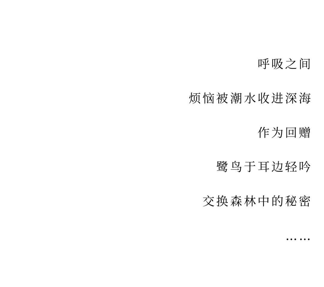 1737106375673558.jpg 1737106251007.jpg