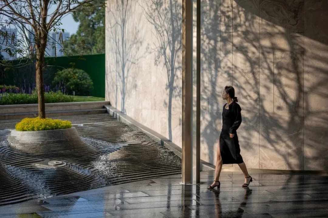 1737106386932294.jpg 1737106343227.jpg