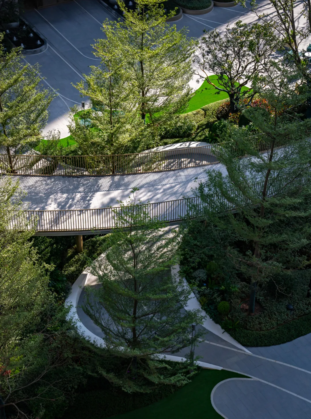 1737106568939080.jpg 1737106541395.jpg