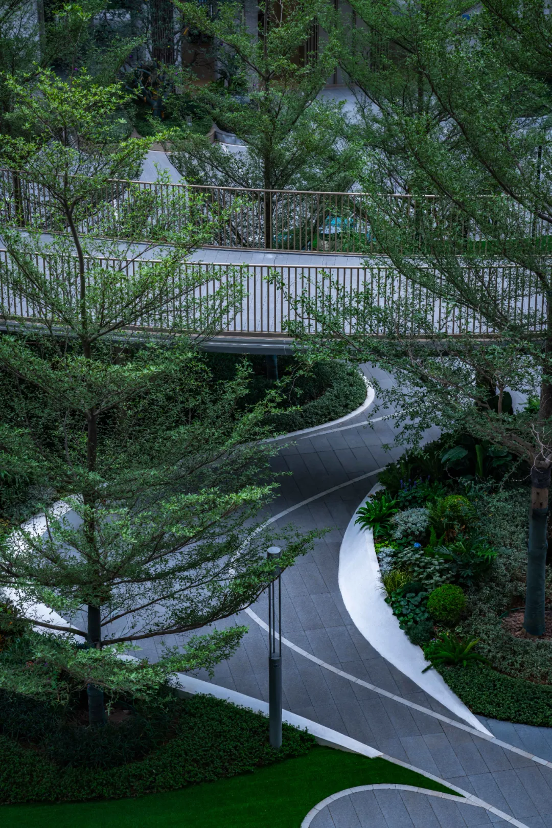 1737106627160600.jpg 1737106612388.jpg