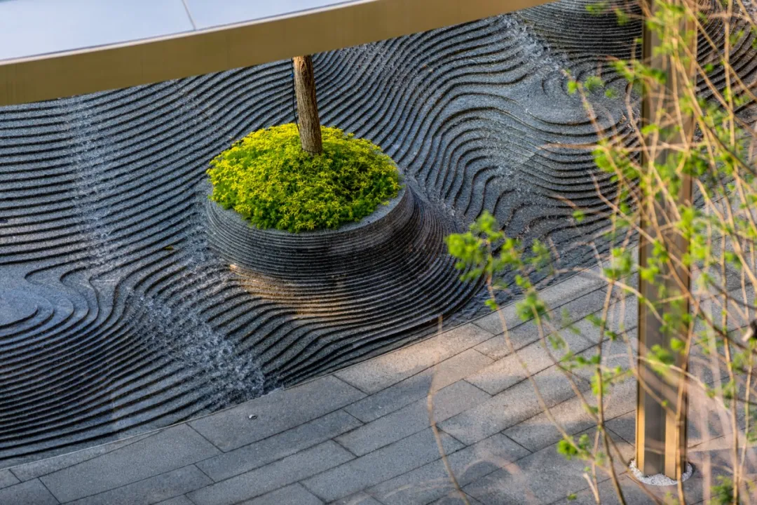 1737106712204052.jpg 1737106702073.jpg