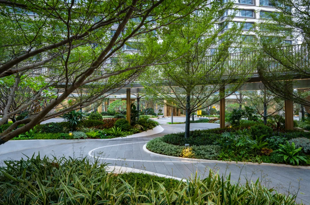 1737106744128997.jpg 1737106729765.jpg