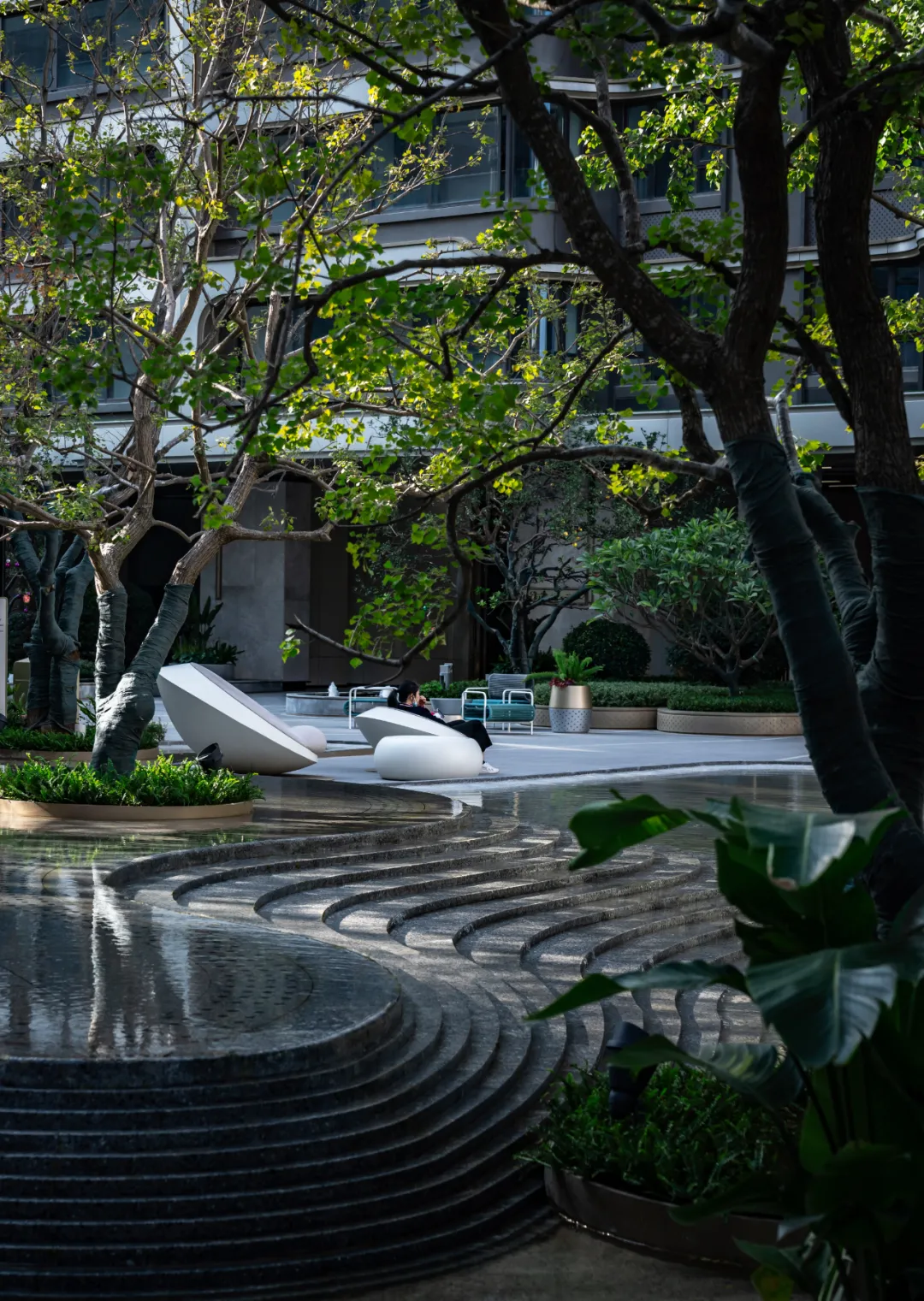 1737106751141879.jpg 1737106734585.jpg