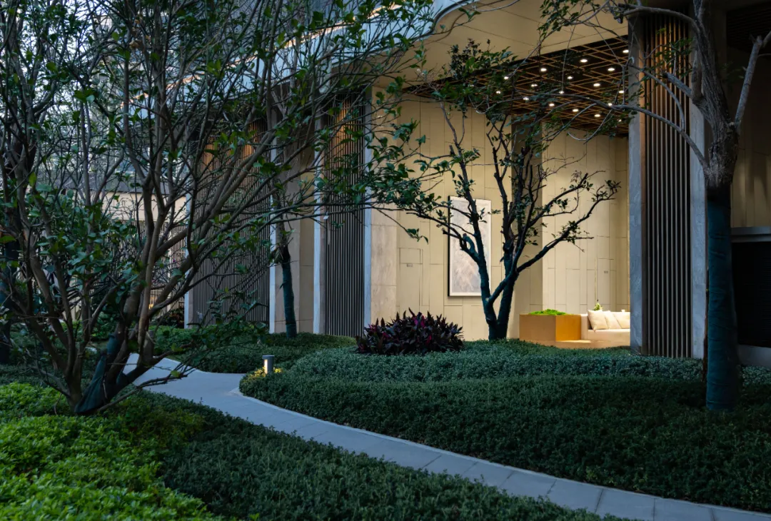 1737106782166258.jpg 1737106764270.jpg