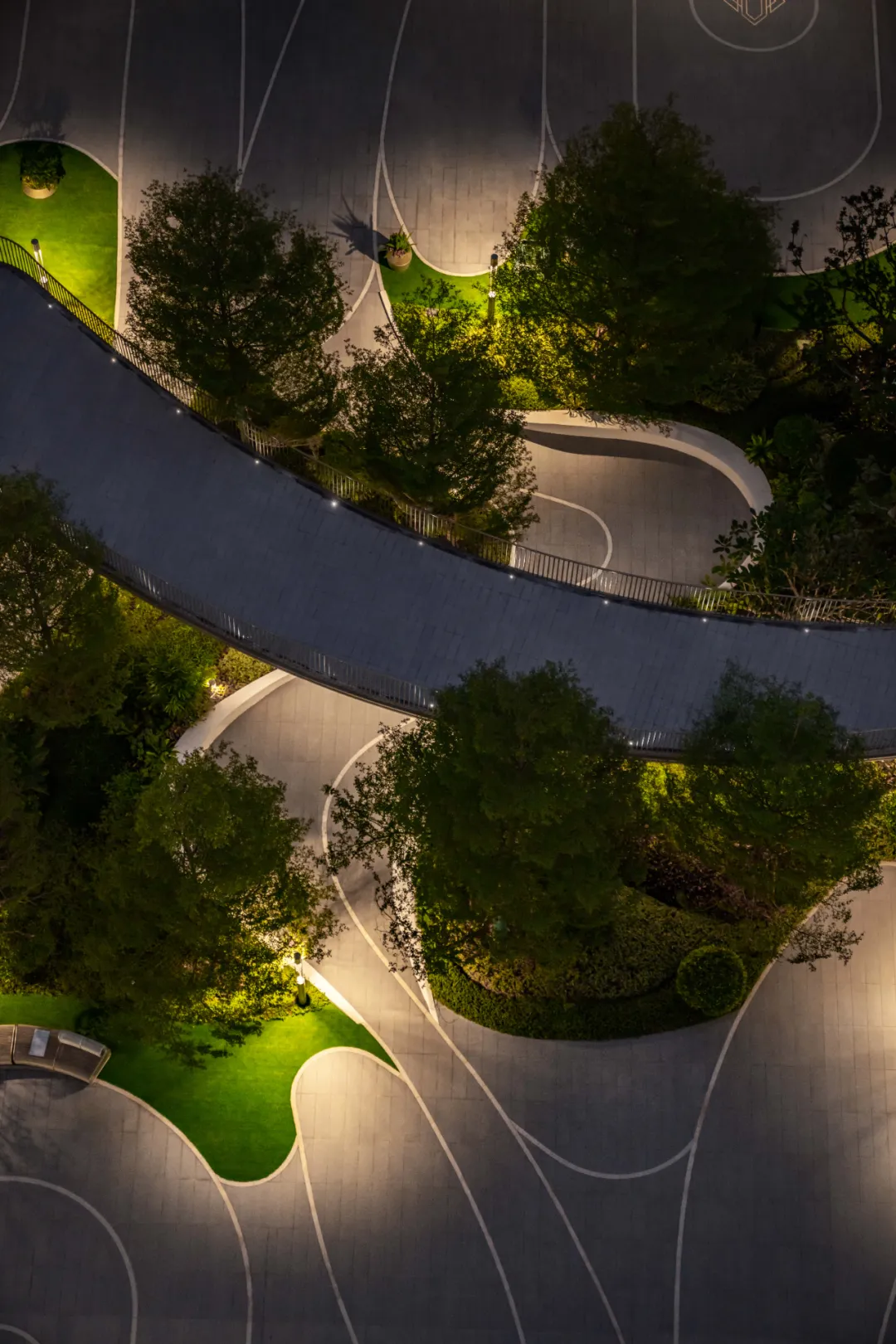 1737106846164954.jpg 1737106832298.jpg