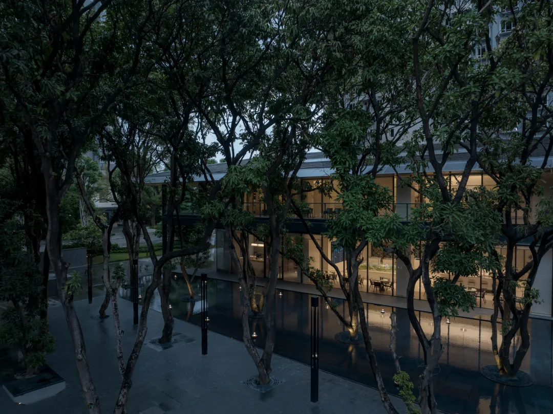 1737107792326893.jpg 1737107746980.jpg