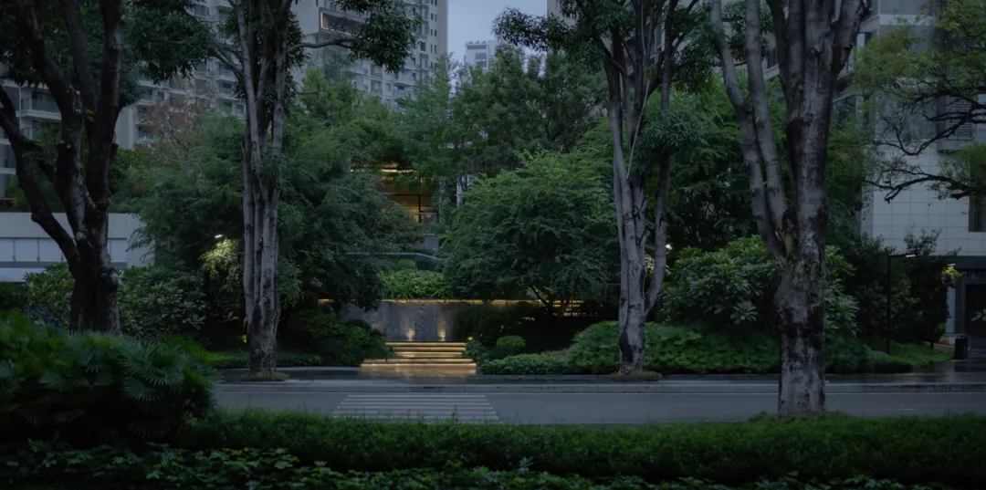 1737107796191564.jpg 1737107749394.jpg