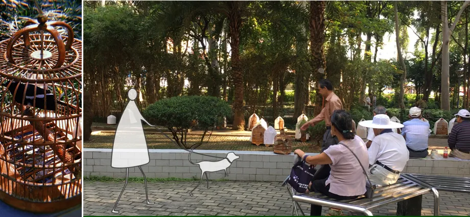 1737107855143153.jpg 1737107841430.jpg