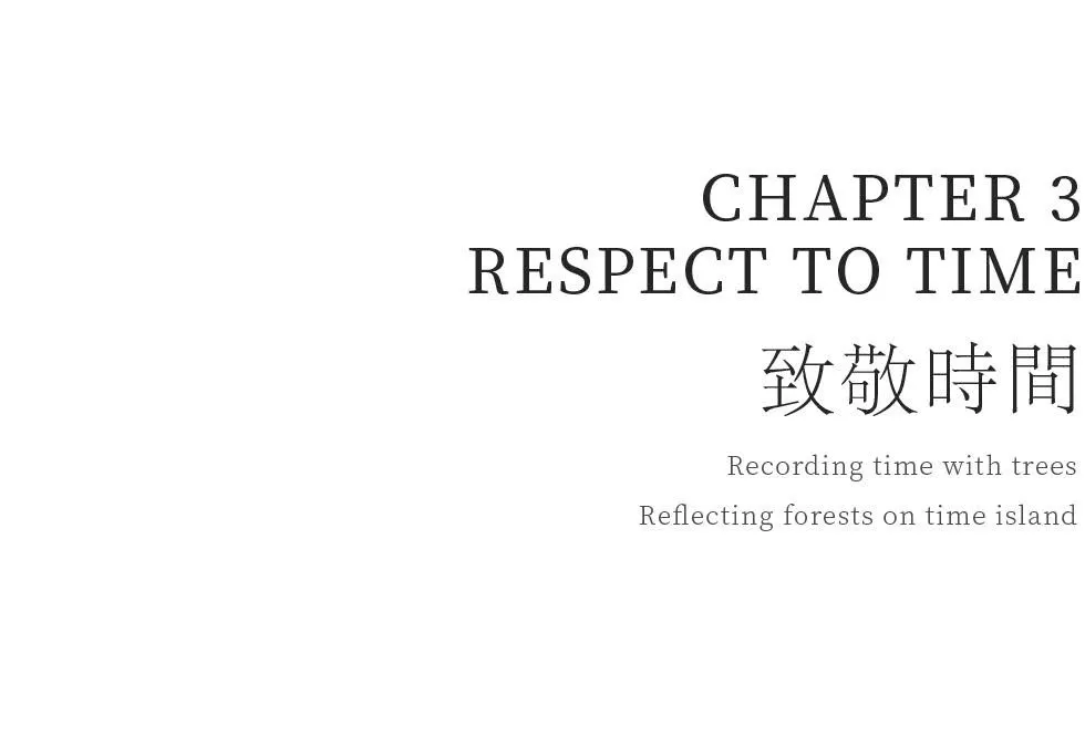 1737107948185269.jpg 1737107943479.jpg