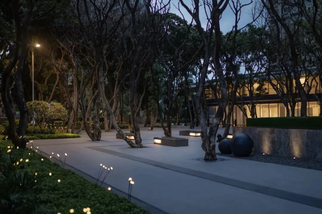 1737108026934303.jpg 1737107999796.jpg