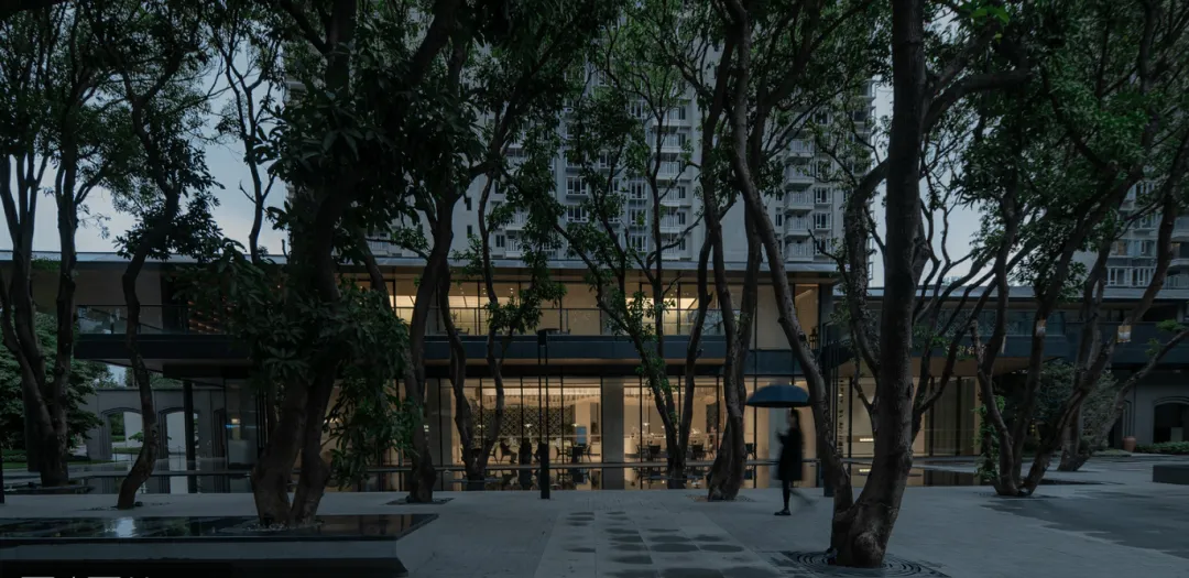 1737108029823744.jpg 1737108001911.jpg