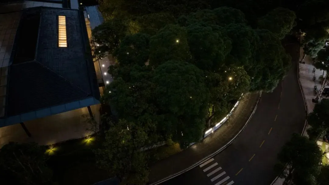 1737108075452342.jpg 1737108045428.jpg