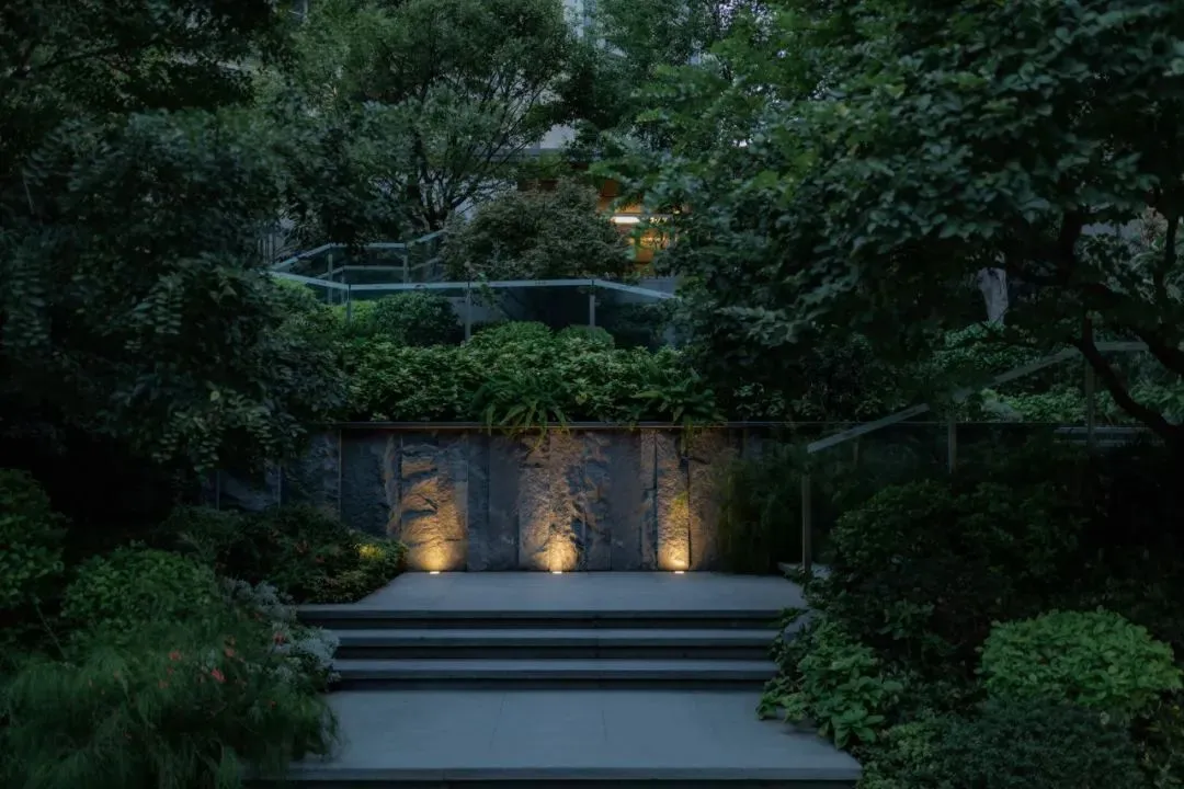 1737108159123303.jpg 1737108147795.jpg