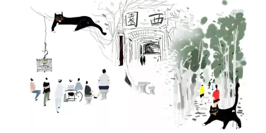 1737108219213525.jpg 1737108213493.jpg