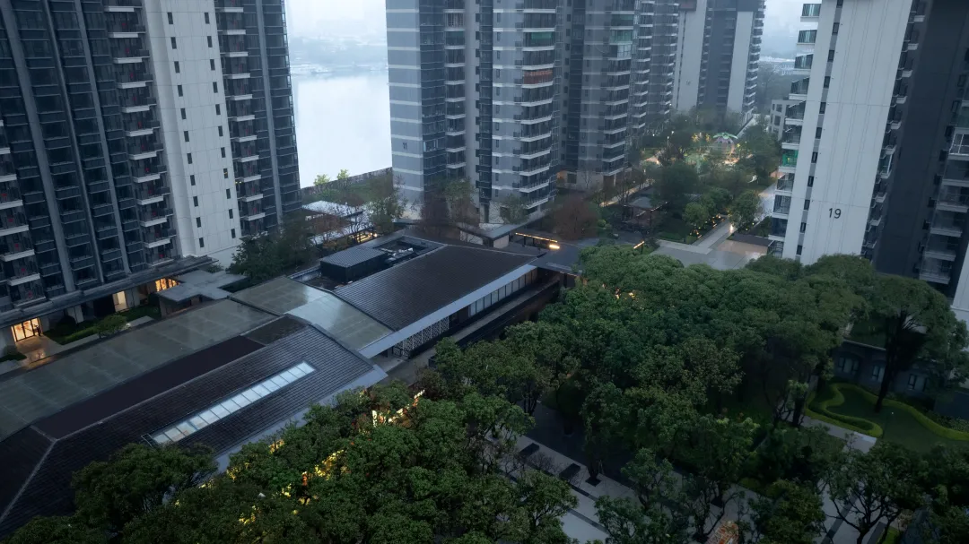 1737108545103436.jpg 1737108541003.jpg