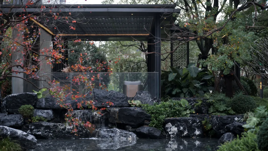 1737108580758045.jpg 1737108570525.jpg