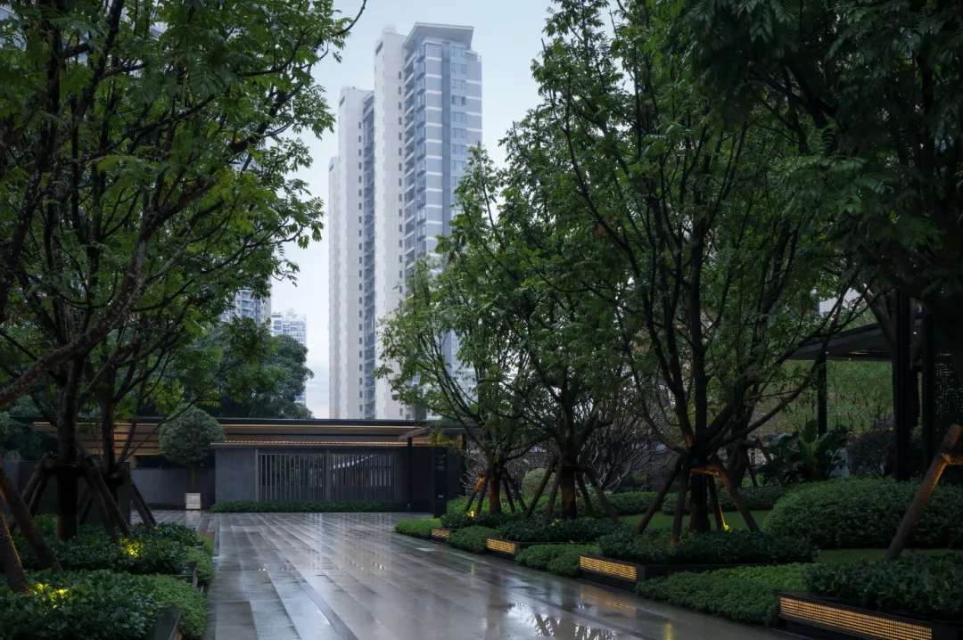 1737108649179909.jpg 1737108638618.jpg