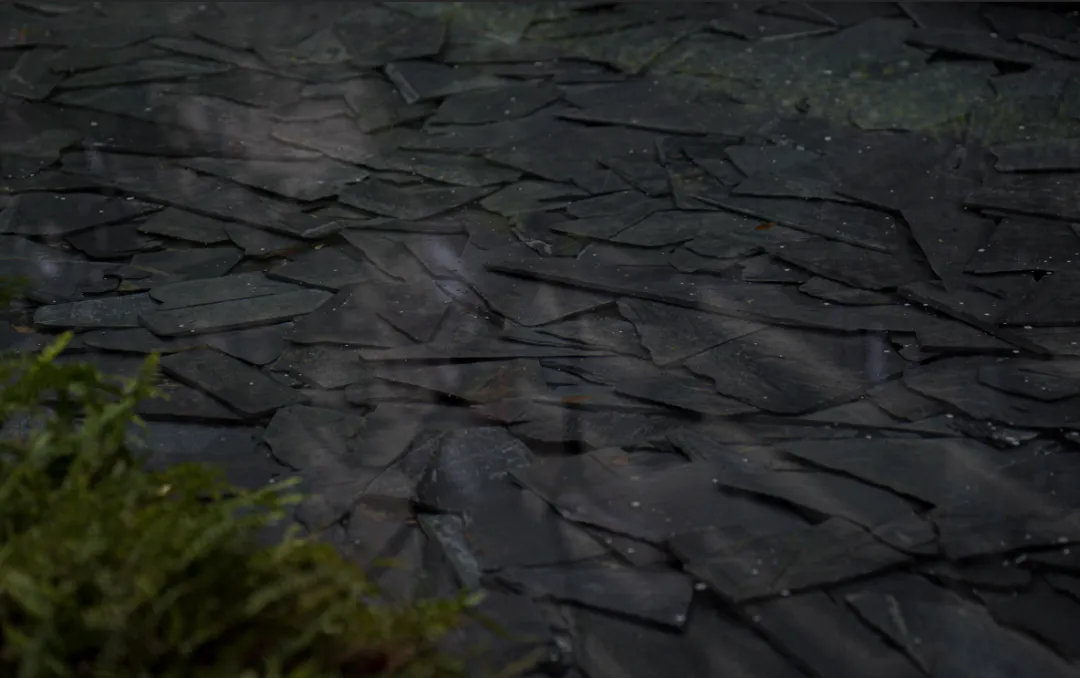 1737108658214144.jpg 1737108642996.jpg