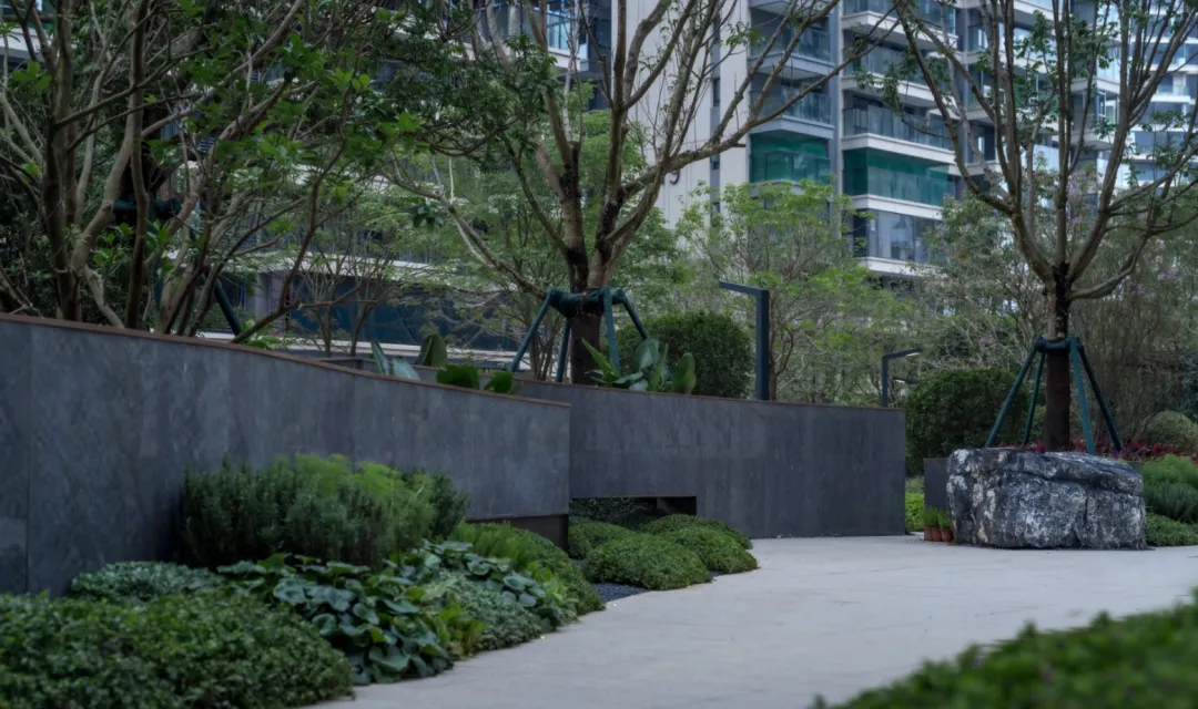 1737108678191717.jpg 1737108667321.jpg