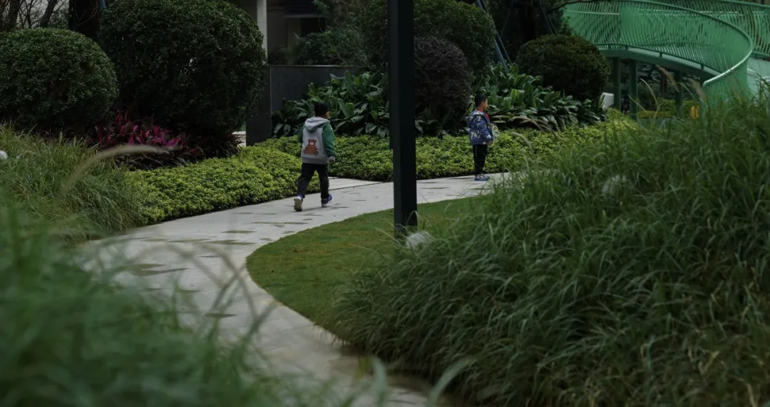 1737108723209133.jpg 1737108715964.jpg