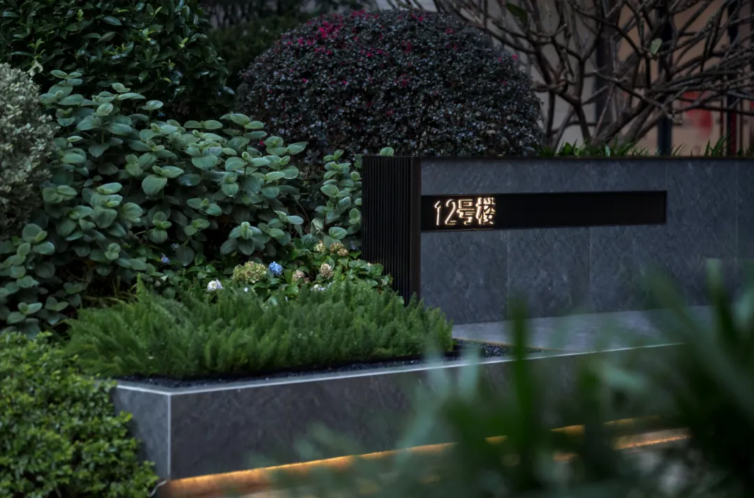 1737108756157332.jpg 1737108742776.jpg