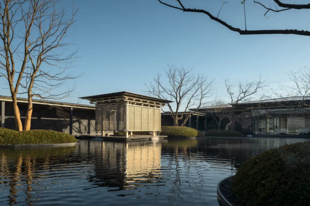 1737109706203536.jpg 1737109699503.jpg