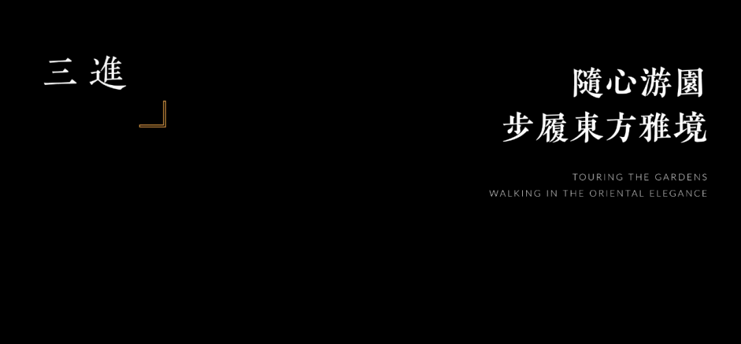 1737109744175134.jpg 1737109737021.jpg