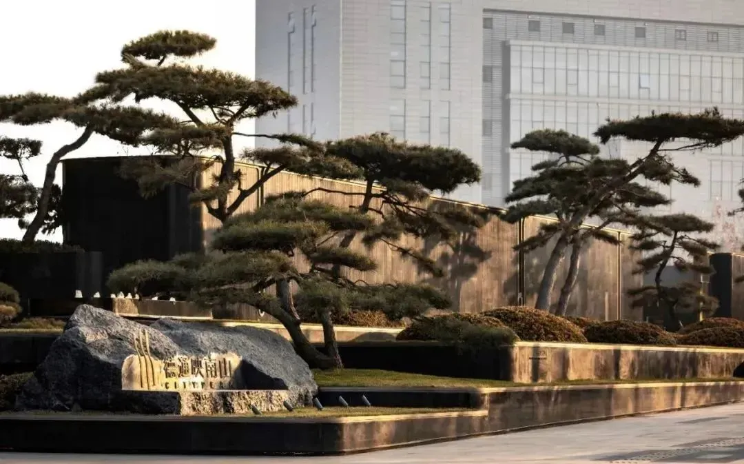 1737337210138384.jpg 1737337202167.jpg